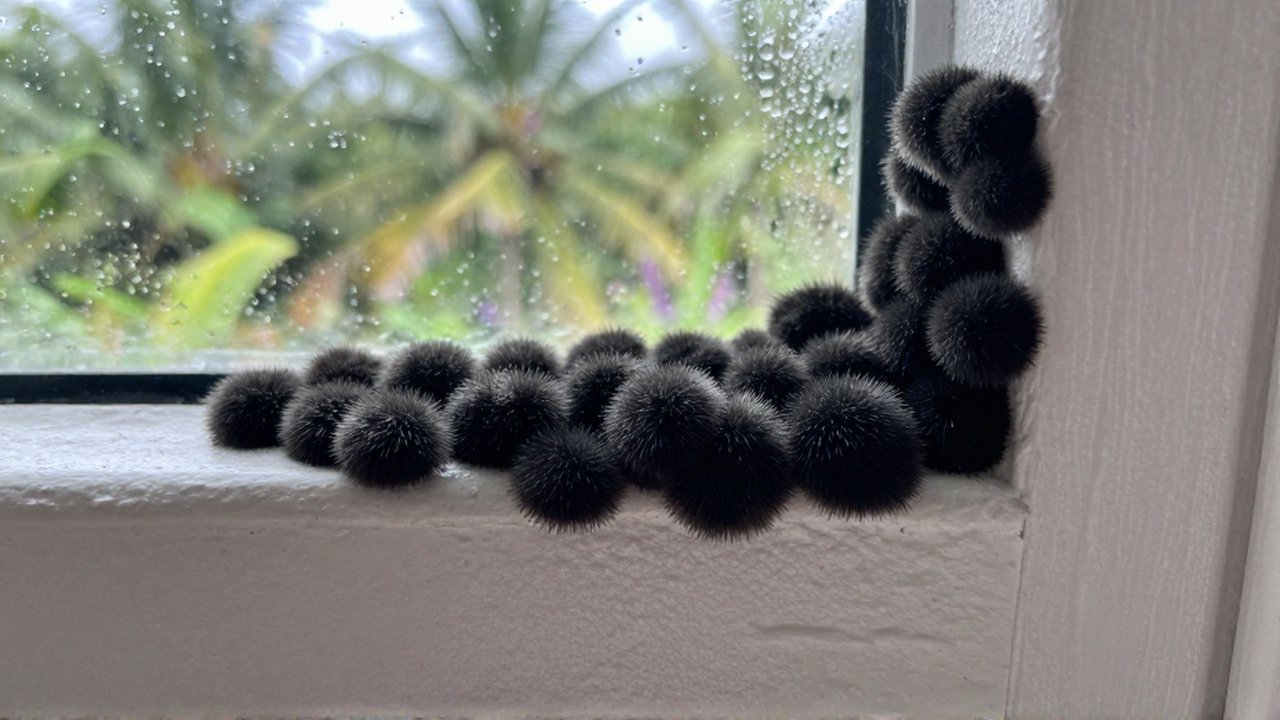 Dark mold spores spread across a damp, white plaster wall near a condensation-covered window.